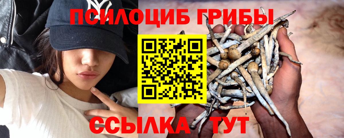Галлюциногенные грибы ЛСД  Вход с VPN  Джанкой 